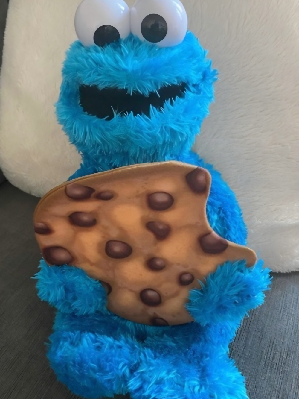 Hasbro Talking Peekaboo Cookie Monster Plush Toy
